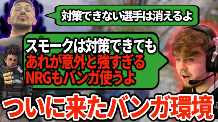 プロの間でバンガが脅威に！いよいよスウィートも本気で対策を考える【APEX翻訳】