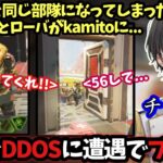 【ブチギレ】遂にDDOSチートに遭遇し、悲しき部隊を助けるkamito【APEX/かみと/切り抜き】