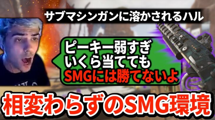 ピーキーしか拾えなかったハルがSMGの理不尽な火力にブチギレ…相変わらずSMG環境の模様【APEX翻訳】