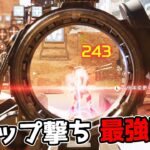 ネメシスのタップ撃ちがマジでヤバい件【APEX LEGENDS】