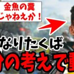 【APEX】「自分の意思を持って動け」どうしても味方と固まってしまうバンガロール君を辛口コーチング！【shomaru7/エーペックスレジェンズ】