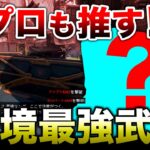 【APEX LEGENDS】プロも推す！環境最強武器はこれ！！【エーペックスレジェンズ】