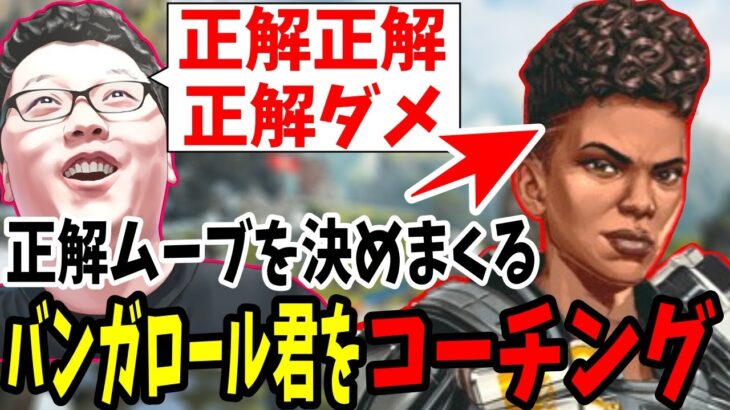 【APEX】「正解正解正解ダメ！」素晴らしい立ち回りで正解と言われまくるバンガロール君をコーチング！【shomaru7/エーペックスレジェンズ】