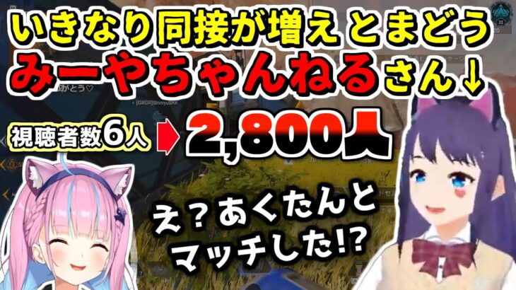 【APEX】湊あくあとマッチして登録者数が倍増する個人Vのみーやさん【2023.06.05/ホロライブ切り抜き】