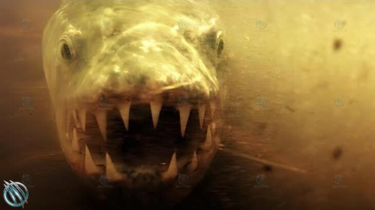 GOLIATH TIGERFISH ─ Demon Fish on Steroids that Kills Crocodiles