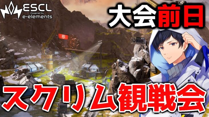 【神視点】昨日は熱かったね 本番想定プロスクリムAvsC　ESCL Apex Legends  《Group1》【APEX】