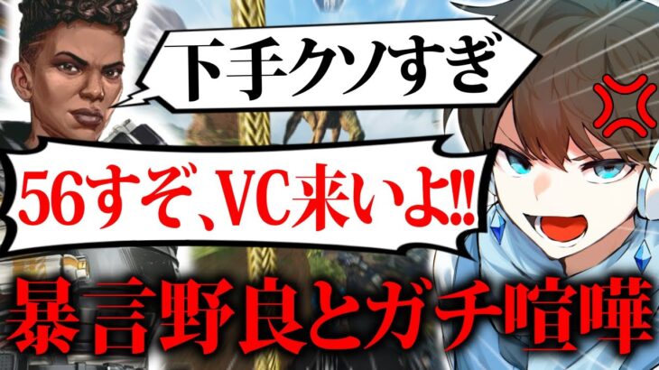 【炎上】野良に煽られた結果、オープンVCでガチ喧嘩する配信者【APEX】