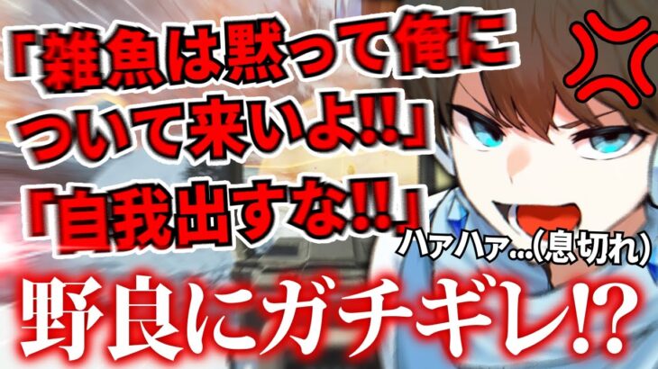 【大炎上】ブロンズ帯の野良に息切れするまで”ブチギレ説教”をしてしまうマスターさん……【APEX】