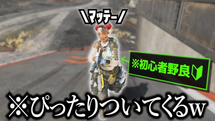 ずっと必死な初心者の野良ライフラが可愛すぎるw【APEX】