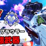 伝説の『2-4倍 プラウラー』が最強という事に気付いた【APEX LEGENDS】