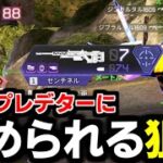 味方にプレデター2人いる中センチネル使った結果【Apex Legends】