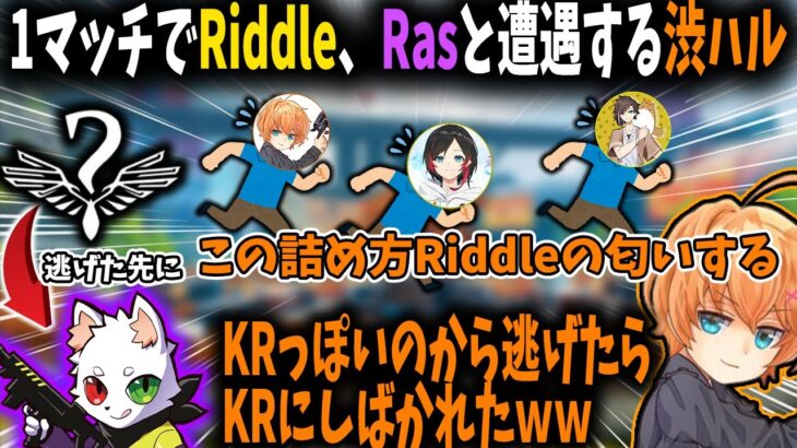 Riddleから逃げた先のRas達にシバかれるはるうるきなこ【切り抜き/渋谷ハル/うるか/きなこ】