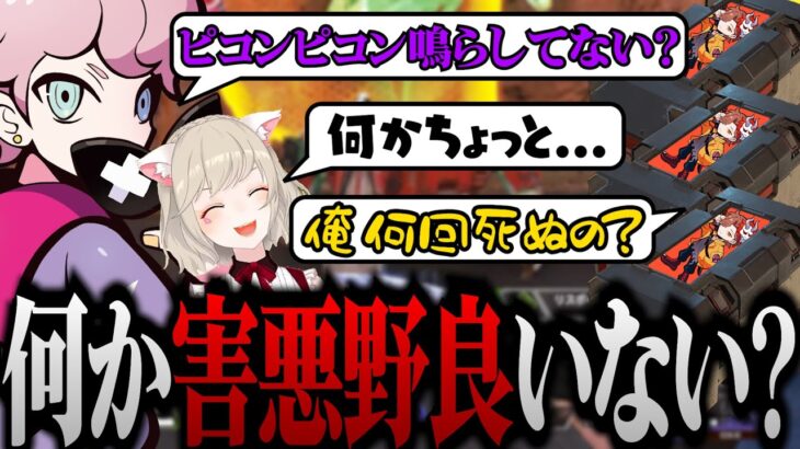 害悪野良と化したありさかに苦労する小森めと&シスコ【 小森めと / ありさか / ふらんしすこ 】