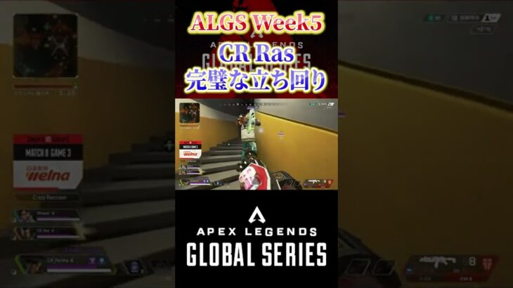 CR Rasの完璧な立ち回り！【ALGS】【Apex Legends/エーペックスレジェンズ】#shorts