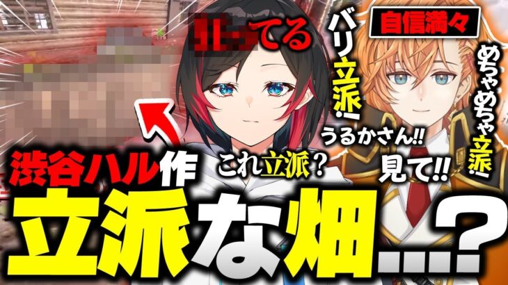 渋谷ハル「見て、立派な畑作った！」うるか「狂ってるよ。」【うるか/渋谷ハル/ありさか/バニラ/ととみっくす/切り抜き】