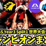 【世界大会決勝】ALGS Year3 Split1 Playoffs 決勝のチャンピオンまとめ【Apex/大会】