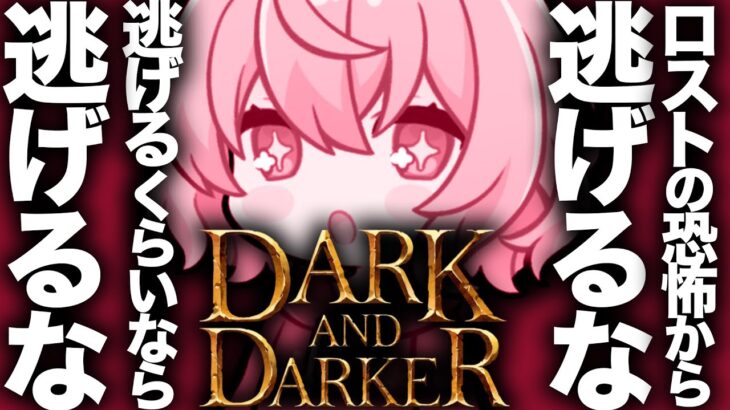 【 Dark and Darker 】 このダンジョンを制するのは私です、逃げません
