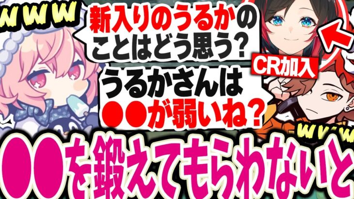 【面白まとめ】CRうるか加入について第一印象を話すありさかとなるせが面白い…ｗｗｗ【なるせ切り抜き #nqrse #ありさか 天月 CR】