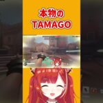 本物のTAMAGO【ラトナ・プティ/切り抜き】