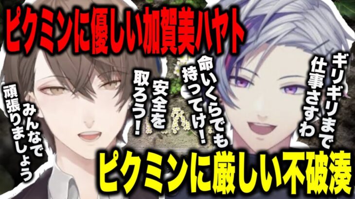 【2視点】ふわっちと加賀美社長の性格の違いがわかるピクミンまとめ【にじさんじ切り抜き/不破湊/加賀美ハヤト】