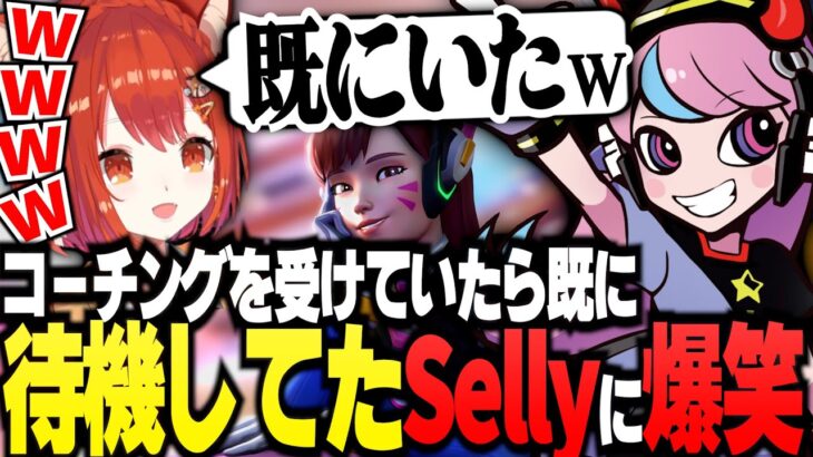 【CRカップ】コーチングを受けていたら既に待機していたSellyに爆笑するぷてち【ラトナ・プティ/切り抜き/にじさんじ/Selly/rion/Overwatch2】