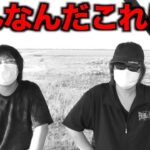 沼ってます・・・【ドラクエウォーク】【ドラゴンクエストウォーク】