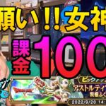 ドラクエウォーク356【テンコラボなら引けるはず！？アストルティアの女神装備ふくびき！課金ガチャ100連！】