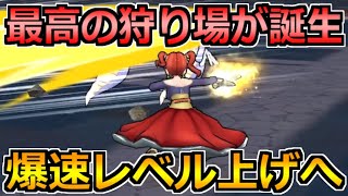 【ドラクエウォーク】最高の狩り場が誕生！2つの大人気武器によるレベル上げが凄かったｗ