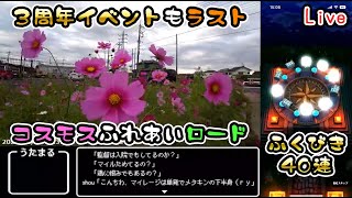 【ドラクエウォークLive】三周年エンディングクエストとコスモス見ながら散歩【ニコ生同時配信】