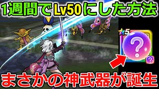 【ドラクエウォーク】この武器だけで1週間でLv50達成！まさかの武器が特級職で神器になりました・・！