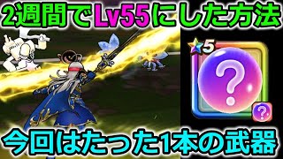 【ドラクエウォーク】たった１本の武器で2週間でLv55になってしまった・・最近この手の武器が環境をぶっ壊してます・・！