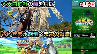 【ドラクエウォークLive】新イベント「スライム冒険譚」第一章とぶらり羽生市【ニコ生同時配信】