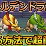 【ドラクエウォーク】ゴールデンドラゴンのほこらを安定攻略！フルオートも可能な楽勝戦法！