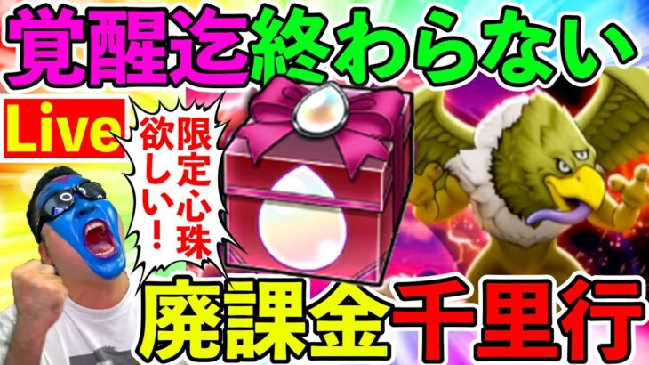 【ドラクエウォーク】千里行で新限定心珠GETしよう生放送！！！