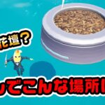 【バグ？伏線？】特定の場合だけ花壇がある！しかも水の上 など チャプター3シーズン3新要素イロイロ検証動画 第700弾【フォートナイト/Fortnite】