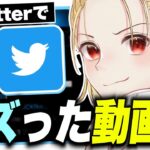 【大好評第12弾】Twitterでバズったおもしろ動画集！ハッカー小学生のしんくんが虚言壁過ぎるWWWW