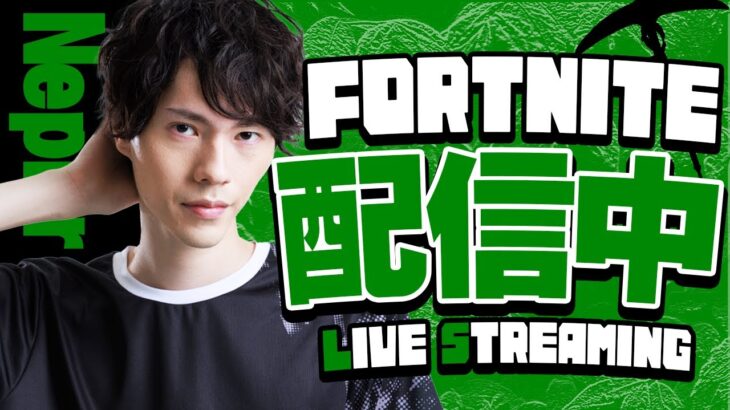 はむっぴと新チャプターアリーナ！！【フォートナイト/Fortnite】