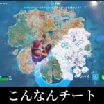 この高さまで行けるのは流石にチートすぎるだろ…【フォートナイト/Fortnite】