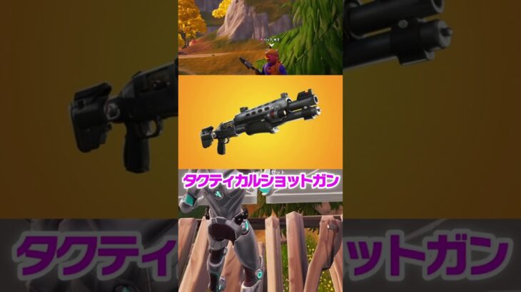 可愛いキッズに武器の名前を当てさせたら…【フォートナイト / Fortnite】【#shorts 】