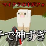 フォトナの中でマイクラマップを遊べる時代が来ました！！【フォートナイト・ゆっくり実況】