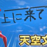 天空に「上に来て」と建築したら敵さんの反応が神すぎた…🤯【フォートナイト】