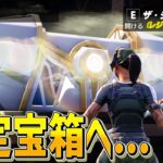 アプデで勝率爆上がりの「白チェスト確定沸き」を高く評価するネフライト【フォートナイト/Fortnite】