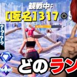 プレイ画面だけでランクを当てろ！【フォートナイト】