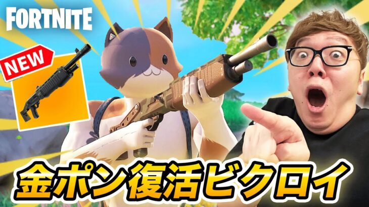 【フォートナイト】ポンプショットガン復活に感動。金ポンセイキンショットビクロイへ【FORTNITE】【ヒカキンゲームズ】