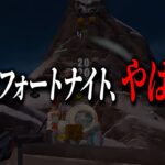 チート事情がやばすぎて、「終わってもおかしくない」とフォートナイトに警鐘を鳴らすネフライト【切り抜き/ネフライト/フォートナイト】