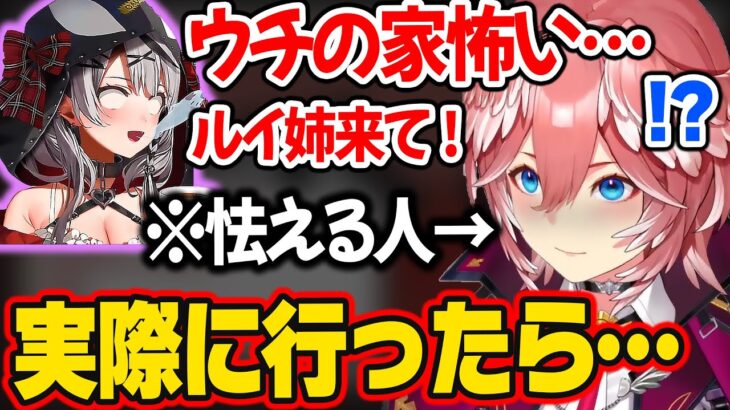 今沙花叉の家で起こってるリアルに怖すぎる話を説明し、自分も怖がるルイ姉【ホロライブ 6期生 切り抜き/鷹嶺ルイ/沙花叉クロヱ/holoX】