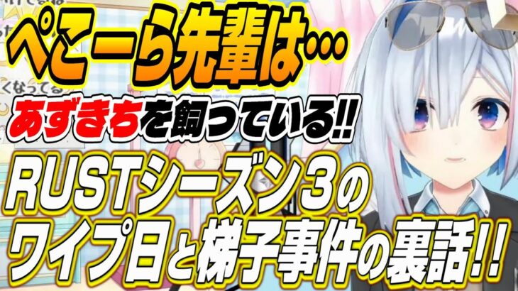 【ホロライブ切り抜き/天音かなた】ぺこーら先輩はあずきちを・・・RUSTワイプ日と梯子紛失事件の裏話を語るかなたそ【白上フブキ/尾丸ポルカ/沙花叉クロヱ】