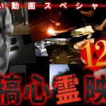 【期間限定配信】投稿心霊映像12連発‼恐い動画スペシャル