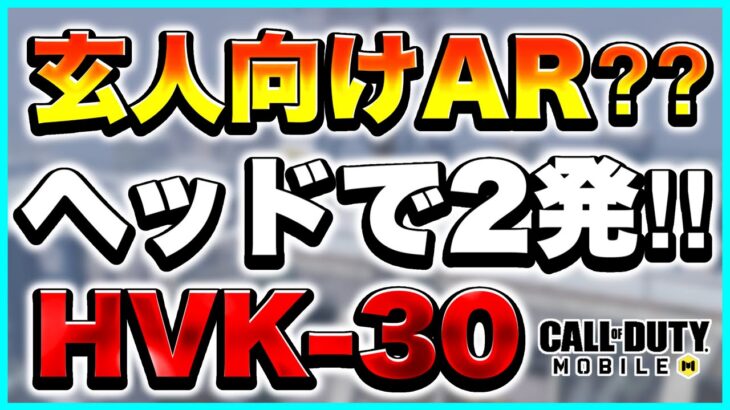 【Codモバイル】ピースキーパーにも勝てる‼︎玄人向け最強AR‼︎【HVK-30 カスタム】