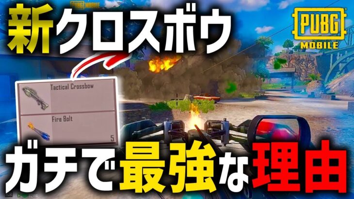 【NUSAソロスク】新クロスボウをソロスクで使ったらガチで最強だったから紹介するｗｗｗｗｗ【PUBGモバイル】